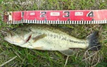 �֥�å��Х�