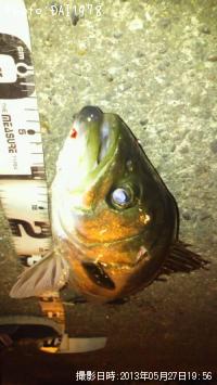 �����Х�