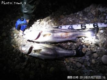 ¥·¡¼¥Ð¥¹¡Ê¥Õ¥Ã¥³¡Ë