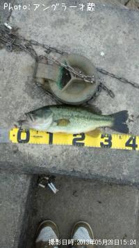 �֥�å��Х�