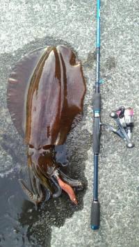 �����ꥤ��