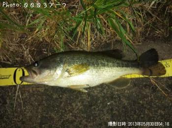 �֥�å��Х�