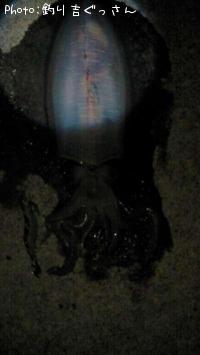 �����ꥤ��