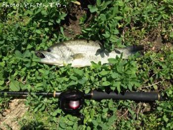 �֥�å��Х�