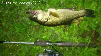 �֥�å��Х�