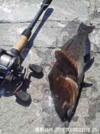 �����ʥ�