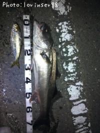 �����Х�