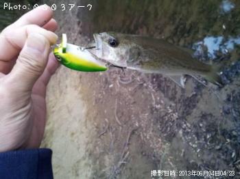 �֥�å��Х�