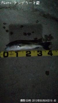 ¥Ö¥é¥Ã¥¯¥Ð¥¹