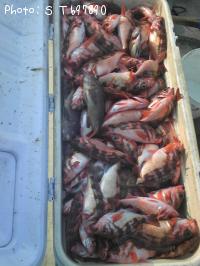 ������Х�