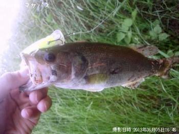 �֥�å��Х�