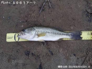 �֥�å��Х�