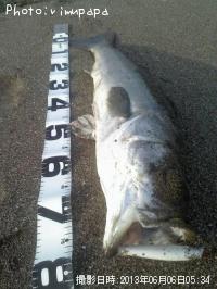 �����Х�