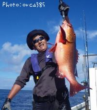 �Х�ե������ʥ����ʡ���