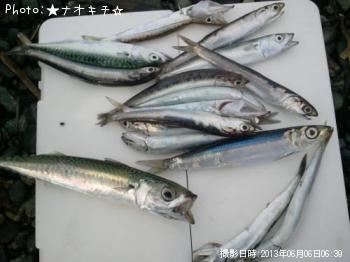 ���С����ޥ�������ᡢ��������