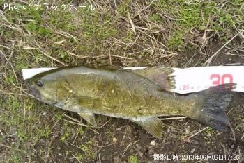 ���⡼��Х�