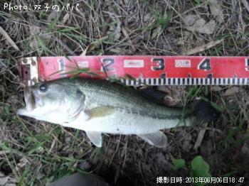 ¥Ö¥é¥Ã¥¯¥Ð¥¹