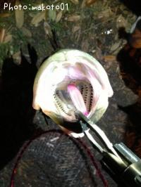 �����Х�