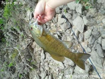 ¥¹¥â¡¼¥ë¥Þ¥¦¥¹¥Ð¥¹