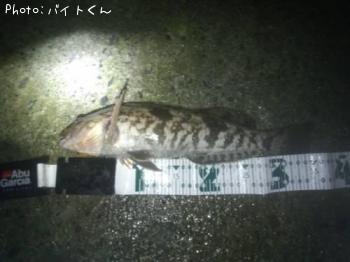 �����ʥ�