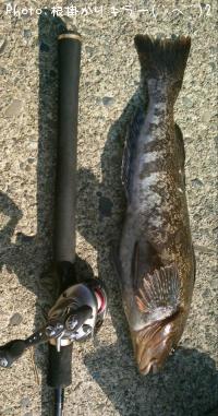 �����ʥ�