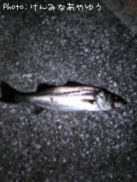 �����Х�