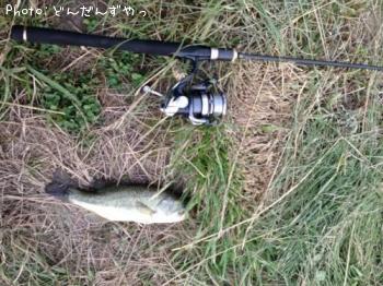 �֥�å��Х�