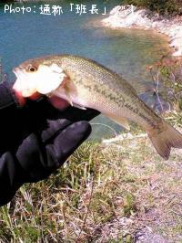 �֥�å��Х�