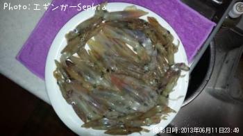 ¥Ò¥¤¥«¡¡¡õ¡¡¥ä¥ê¥¤¥«