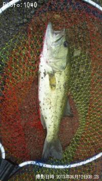 ¥Ö¥é¥Ã¥¯¥Ð¥¹