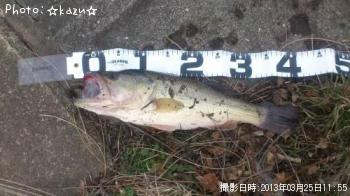 ¥Ö¥é¥Ã¥¯¥Ð¥¹