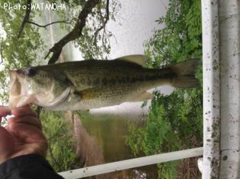 �֥�å��Х�