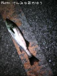 �����Х�