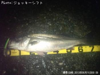 �����Х�