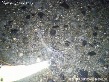 ���饦����