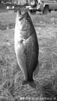 ¥Ö¥é¥Ã¥¯¥Ð¥¹