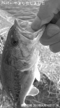 �֥�å��Х�