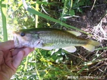 �֥�å��Х�