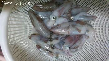 �ҥ�������ꥤ��