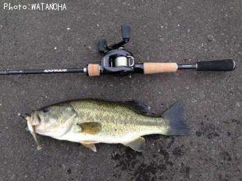 �֥�å��Х�