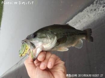 �֥�å��Х�