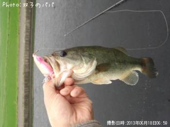 �֥�å��Х�