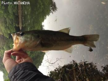 ¥Ö¥é¥Ã¥¯¥Ð¥¹