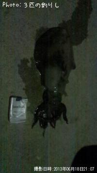 �����ꥤ��