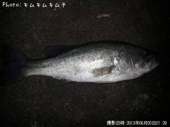 ¥Ö¥é¥Ã¥¯¥Ð¥¹