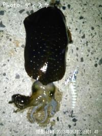 ¥¢¥ª¥ê¥¤¥«