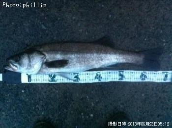 �����Х�