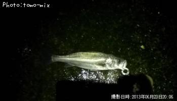 �����Х�