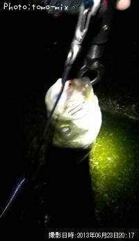 �����Х�