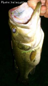 �֥�å��Х�